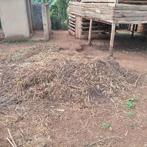 Goats manure, each truck (elf)