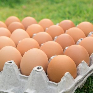 1 tray of eggs (Organic/free range)